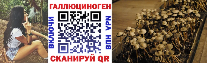 Купить где  Коммунар  Галлюциногенные грибы Psilocybine cubensis 